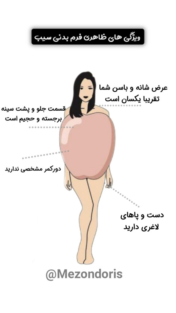 فرم بدنی سیب شکل